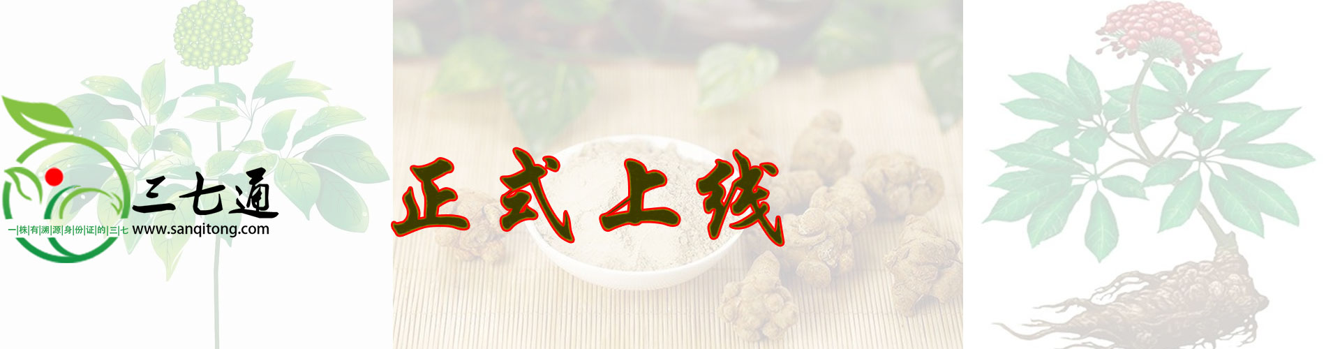 一頭有身份的三七，可溯源三七，藥材好，藥才好